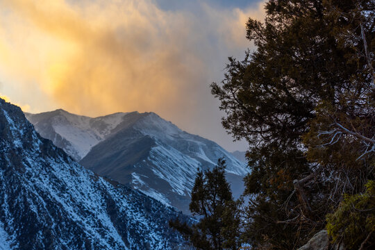 Snowy Mountain Range at Sunset with Evergreen Trees