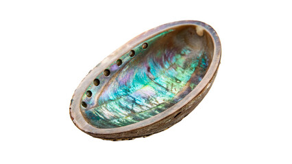 Fototapeta premium Iridescent inner surface of an abalone shell isolated on transparent background