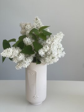 white flowers in a vase