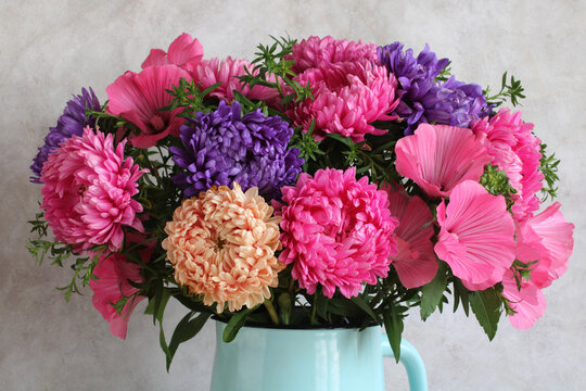 Pink lavatera and asters, a bouquet of garden flowers in close‑up as a floral backdrop. Natural background.
