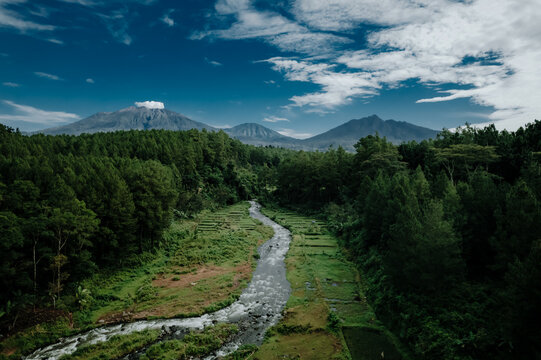 Breathtaking Mountain Landscape with River and Pine Forest