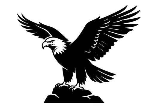 Ready on cliff edge. Eagle soaring gracefully against a clean white sky, wings outstretched.
