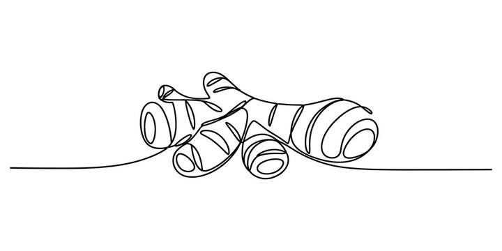 Continuous single line drawing of a fresh ginger root spice