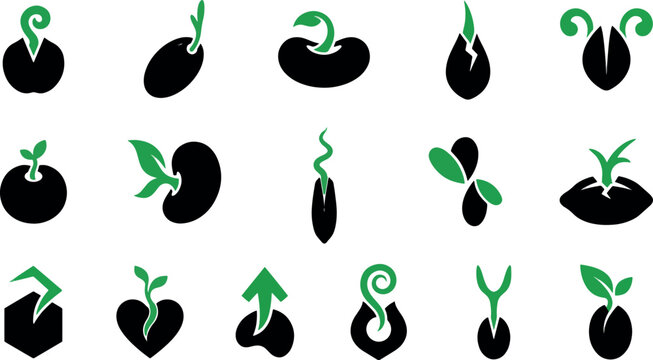Illustrating the remarkable journey of seed germination a visual sequence depicting the stages of plant growth from seed to sprout