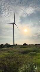 Wind turbine generator in green field under evening sky in Jeju Island © Som