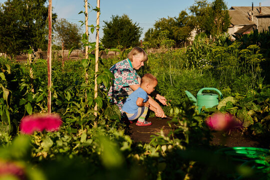 Elderly woman and young child are working in a garden. They are planting flowers and vegetables in the soil. Sunlight is shining on them