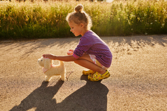 A girl crouches on a pathway while petting a small dog. The sun sets in the background, casting warm light over the scene in the grassy field
