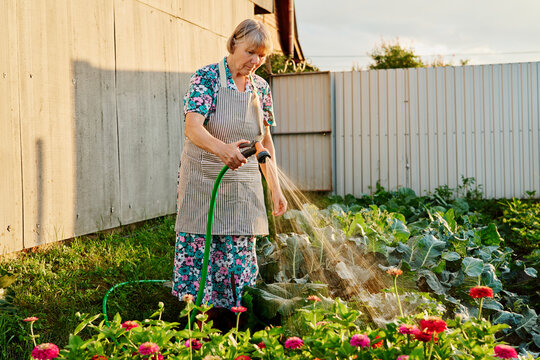 An older woman in a floral dress uses a hose to water her garden in the backyard. She stands among various plants and flowers under bright sunlight