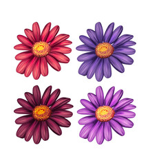 Fototapeta premium Chamomile Flower Bloom Floral Botanical Icon Set Vector Illustration