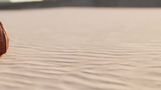 The patterns created by waves in the sand at a beach during the late afternoon. The sun reflects lightly on the surface, adding subtle textures.