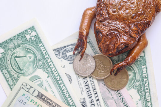 Money toad resting on US dollars and coins. Symbolic concept of wealth, prosperity, abundance, financial luck and feng shui inspired fortune.