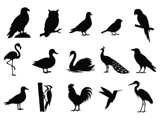 Fototapeta premium Collection Of Bird Silhouettes On A White Background