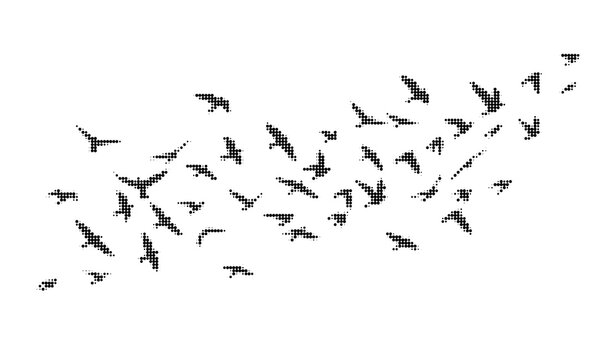 Flock of birds flying, halftone style