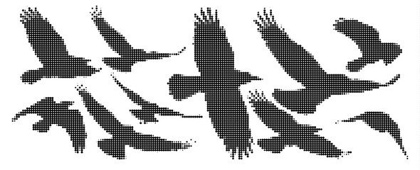 Naklejka premium Set of halftone silhouettes of birds in flight