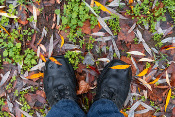 Naklejka premium First person view of black leather shoes walking through autumn forest ground with fallen leaves and mist