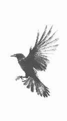 Naklejka premium Halftone illustration of a flying raven or crow, artistic bird silhouette created with black dots, minimalist nature graphic