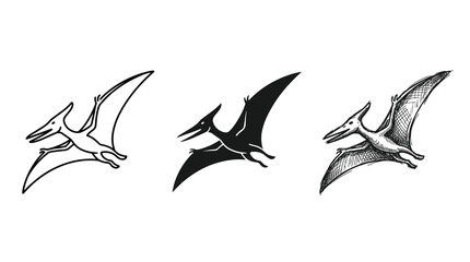 Three Flying Pterodactyls - Outline, Solid Silhouette, and Hand-Drawn Sketch Styles © BestFren