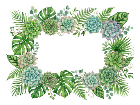 Watercolor succulent and tropical leaf frame border isolated on white background