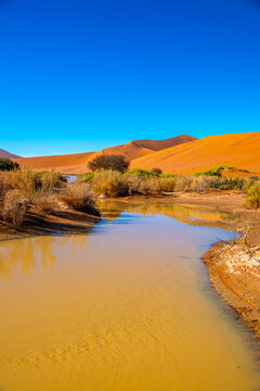 Sossusvlei Lake Reflection