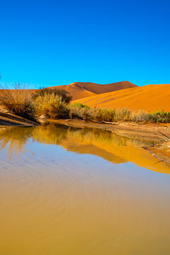 Sossusvlei Reflection