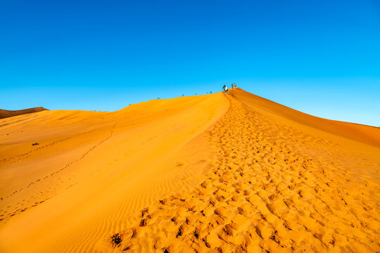 Namib Desert Dune Ascent