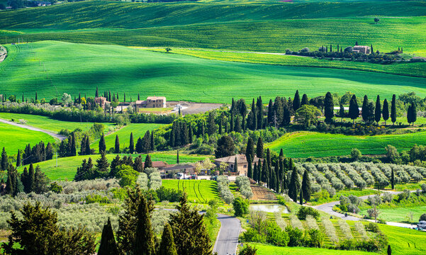 Typische, h&uuml;gelige Kulturlandschaft desVal d'Orcia in der s&uuml;dlichen Toskana, Italien