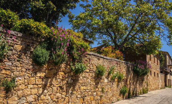 Die ber&uuml;hmte, von &uuml;ppigem Gr&uuml;n und Blumen bewachsene Natursteinmauer entlang der Via del Casello, Pienza, Toskana, Italien,