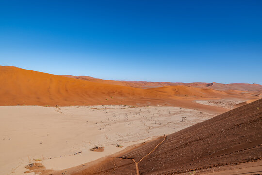 Deadvlei Desert Panorama