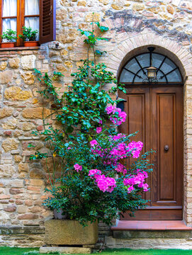 Pflanzen und Blumen an den Hausw&auml;nden und in den engen Gassen der sch&ouml;nen Stadt Pienza inmitten der Toskana, Provinz Siena, Italien
