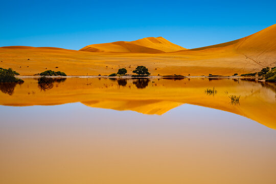 Sossusvlei Reflection
