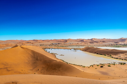Ephemeral Oasis in Sossusvlei