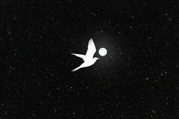 Fototapeta premium A Dove's Flight Under the Full Moon: A solitary white dove glides serenely against a starlit night sky, with a luminous full moon as its celestial companion. A symbol of peace and hope.