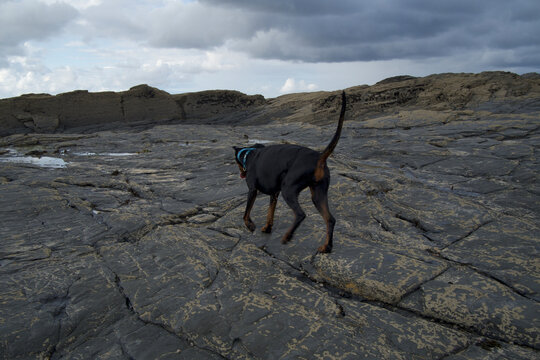 Harlyn Bay north cornwall England uk beach and rocks summer time
