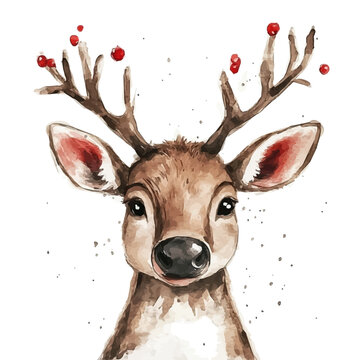 Christmas Rudolph, illustration watercolor with playful splashes and delicate line details, isolated on a white background.
