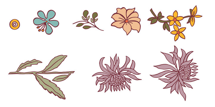 Botany orange slate blue, soft mauve, mustard yellow, warm beige, sage green, leavs branches and flowers. Beautiful hand drawn black and white design template. Botanical set no background