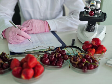 Laboratory worker examining fruits with a microscope