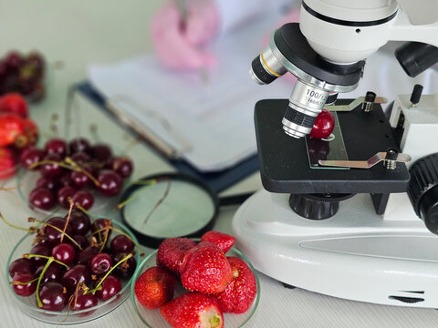 Research on fruit quality using a microscope in a laboratory