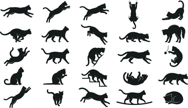 Collection of cat silhouettes featuring jumping, running, stretching, climbing, playing and sleeping domestic cats in various poses isolated on white background
