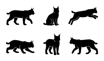 Lynx silhouette set with 6 wild cat poses, bobcat vector icons in black, predatory feline animal shapes for nature logos © Hasib
