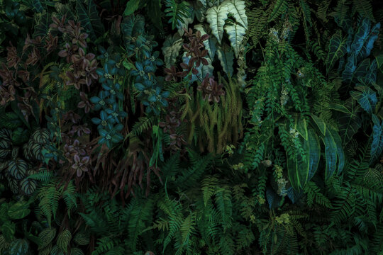 Herb wall, plant wall, natural green wallpaper and background. nature wall. Nature background of green forest