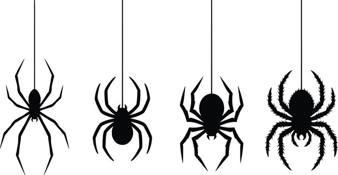 Black spider silhouettes hanging on webs, set of 4 arachnid vector icons, spooky Halloween decorative elements for graphic design