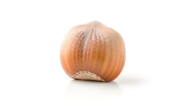 Whole nutmeg spice with natural texture