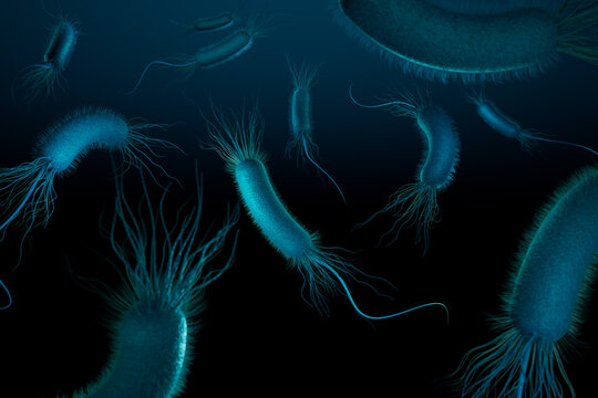 Microscopic Bacteria Colony with Flagella and Pili &ndash; 3D Scientific Illustration