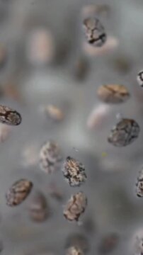 Macro view of chia seeds soaking in water