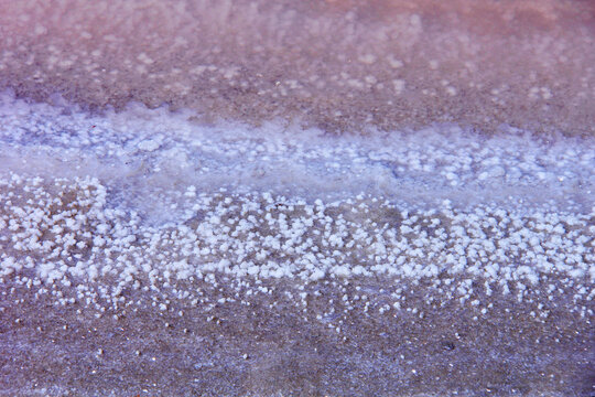 fleur de sel  &agrave; cueillir
