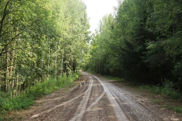 Fotobehang Bospad a country road in a summer forest on a sunny day  © алексей семиколенных