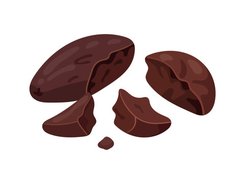 Flat vector illustration of broken cocoa beans in rich brown tones, showing cracked bean pieces and a small fragment, isolated on a white background.