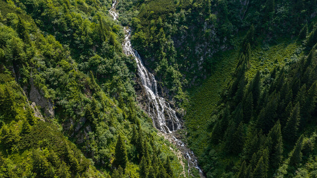 Aerial view of the Transfagarasan mountain waterfall cascading down a lush green valley surrounded by dense pine forests in Curtea de Arges, Judetul Arges, Romania.