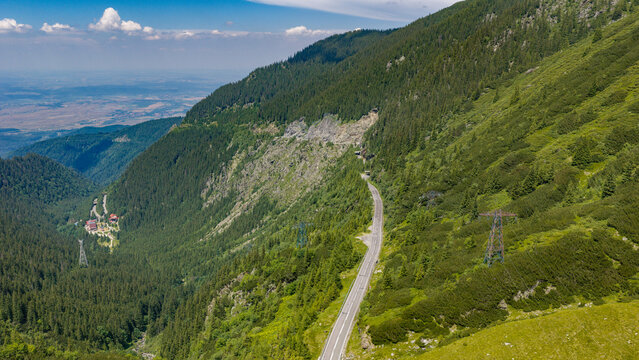 Aerial view of the Transfagarasan road winding through the Carpathian Mountains, surrounded by dense pine forests and green slopes in Curtea de Arges, Judetul Arges, Romania.