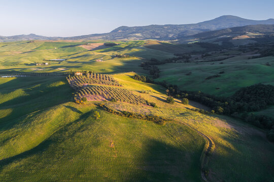 Aerial view of Valdorcia Belvedere bb nestled among rolling green hills and olive groves in the Val d'Orcia landscape in Pienza, Toscana, Italy.